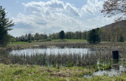 10793 ROSE VALLEY ROAD, Trout Run, PA 17771