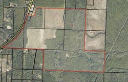 363 Acres FL-85, Laurel Hill, FL 32567
