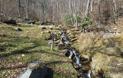 735 Whisper Mountain Drive unit: 44, Leicester, NC 28748
