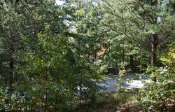 Holland Drive lot: 3, Columbus, NC 28722