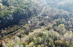 36 Lato Road, Seale, AL 36875