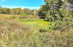 E 900 Road, Pleasanton, KS 66075