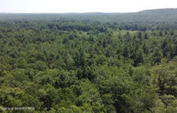 236 Pine Grove Road, Thornhurst, PA 18424