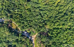 Jacks Paw Lane, Hendersonville, NC 28792
