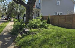203-5 N 21st Street, Columbus, OH 43203