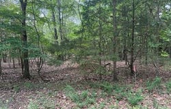 258 CR 472 lot: 41, Clarkridge, AR 72623