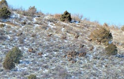 TBD Highway 13, Rifle, CO 81650