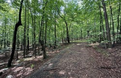 LOT 70 PARKSIDE COURT, BERKELEY SPRINGS, WV 25411