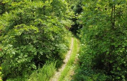 00 Tbd Long Shoal Branch, Beattyville, KY 41311