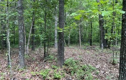 12 Acres on Meadow Creek DR, Harrison, AR 72601