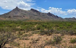 Tbd N Bruno Road, Douglas, AZ 85607
