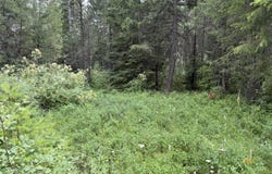 LOT 2 SPRINGDALE-HUNTERS RD, SPRINGDALE, WA 99173