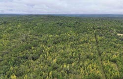 SCROGGINS DRIVE lot: 0, TALLASSEE, AL 36078