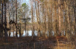 3 Hidden Cove, Lewisville, AR 71845