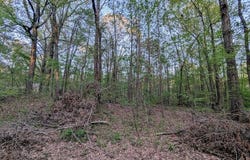 HWY 145, Saltillo, MS 38866