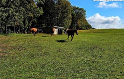 Blue Ridge Church Road, Purlear, NC 28665