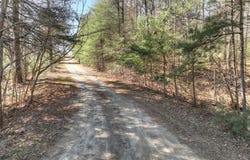 Lots 2&4 Walnut Hills /Spur 6, Mineral Bluff, GA 30059