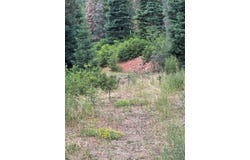 Tbd SPRUCE TRAIL LOT 2, Chama, NM 87520