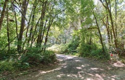 24111 NW MEACHAM RD, North Plains, OR 97133