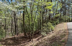 Lt699 Choctaw Drive, Ellijay, GA 30540