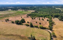 40.54acres TBD County Road 2314, Pittsburg, TX 75686