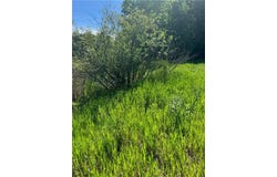 Tbd County 29, Browerville, MN 56438