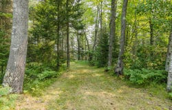 Lots 45&46 Little Maggie, Crystal Falls, MI 49920