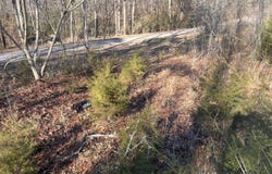 0 S Ehrich Avenue, Bridgeport, AL 35740