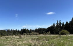 COOKE Rd, WhiteSalmon, WA 98672