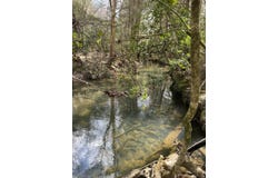 0 Lone Wolf Trail, Spencer, TN 38585