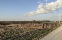 Tract 3 Dade 142, South Greenfield, MO 65752