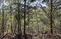 Gumbo Woods lot: #25, Shell Knob, MO 65747