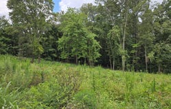 270 Wells Rd, Powell, TN 37849