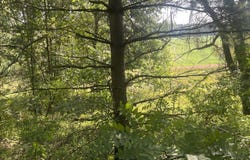 B Grand River Road, Rives Junction, MI 49277