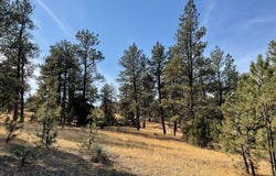 NHN Bay Horse Road, WY 82725