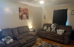 466 Ivey Street, Clio, SC 29525