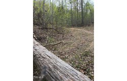 0 Pine Mountain Road, Rogersville, TN 37857