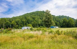 151 White Pine Lane, Vanceburg, KY 41179