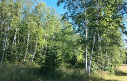 Lot 7 Chaney Coves, Bessemer, MI 49911