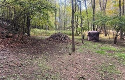 Collins Cove Rd lot: 1-3, Ivanhoe, VA 24350