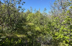 Montpelier, ID 83254