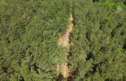 000 STATE ROUTE 505, Dodson, LA 71422