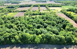 63362 Carver Road, Vandalia, MI 49095