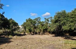 1120 E Broadway St, Eden, TX 76837