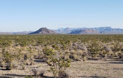 220 Warnock Rd, Terlingua, TX 79852