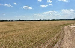 0 S Highway BB, East Prairie, MO 63845