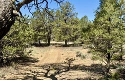 163 CR 402, Lindrith, NM 87029