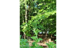 122 Golanvyi Tr, Vonore, TN 37885