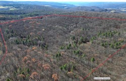 233 Chicken Farm Road, Butternuts, NY 13776