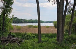 5xxxx 220th Street N, Forest Lake, MN 55025